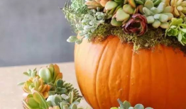 花百万吃瓜爆料入口,揭秘娱乐圈幕后风云